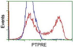 Flow Cytometry (FACS) image for anti-Protein tyrosine Phosphatase, Receptor Type, E (PTPRE) antibody (ABIN1500507) (PTPRE 抗体)