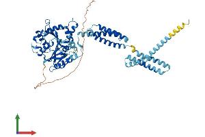 Protein Structure (PS) image for Atlastin GTPase 2 (ATL2) (AA 1-583) protein (His tag) (ABIN7552402)