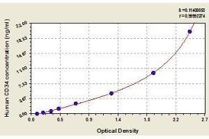 Typical standard curve (CD34 ELISA 试剂盒)