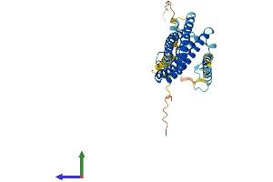 Protein Structure (PS) image for Secretory Carrier Membrane Protein 2 (SCAMP2) (AA 1-329) protein (His tag) (ABIN7561442)