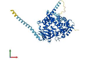 Protein Structure (PS) image for Cytochrome P450, Family 4, Subfamily V, Polypeptide 2 (CYP4V2) (AA 1-525) protein (His tag) (ABIN7565012)