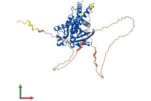 Protein Structure (PS) image for Protein tyrosine Phosphatase, Non-Receptor Type 18 (Brain-Derived) (PTPN18) (AA 1-460) protein (His tag) (ABIN7551088)