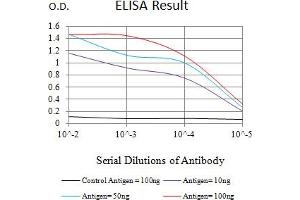 ELISA image for anti-Nuclear Receptor Subfamily 2, Group C, Member 2 (NR2C2) (AA 62-356) antibody (ABIN7193400)