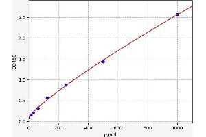 IL1RL1 ELISA 试剂盒