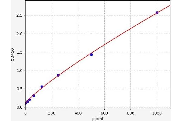 IL1RL1 ELISA 试剂盒