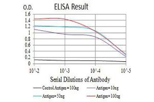 ELISA image for anti-Killer Cell Lectin-Like Receptor Subfamily B, Member 1 (KLRB1) (AA 67-225) antibody (ABIN5611265)