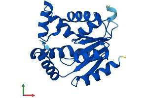 Protein Structure (PS) image for Adenylate Kinase 1 (AK1) (AA 1-194) protein (His tag) (ABIN7556206)