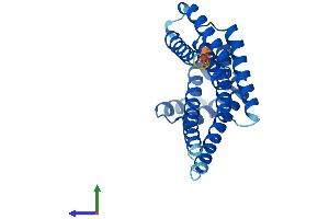 Protein Structure (PS) image for Stratifin (SFN) (AA 1-248) protein (His tag) (ABIN7562550)
