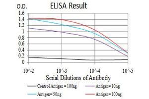 Black line: Control Antigen (100 ng), Purple line: Antigen(10 ng), Blue line: Antigen (50 ng), Red line: Antigen (100 ng), (PPARA 抗体  (AA 1-120))