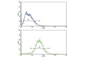 Flow cytometric analysis of HepG2 cells using ALDH1A1 antibody (green) (ALDH1A1 抗体  (AA 302-331))