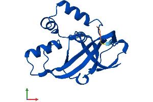 Protein Structure (PS) image for Chromosome X Open Reading Frame 40A (CXorf40A) (AA 1-158) protein (His tag) (ABIN7546907)
