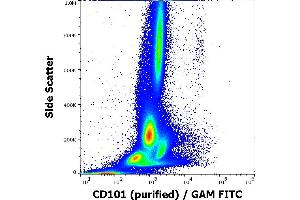 Flow cytometry surface staining pattern of human peripheral whole blood stained using anti-human CD101 (BB27) purified antibody (concentration in sample 0,56 μg/mL, GAM FITC).