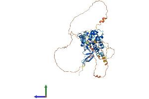 AlphaFold protein structure predicition of Human Recombinant MSL3 Protein, UniprotID Q8N5Y2