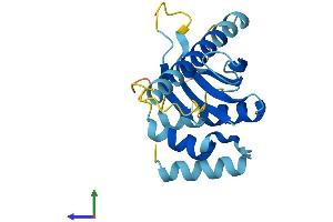 Protein Structure (PS) image for Adaptor-Related Protein Complex 5, sigma 1 Subunit (AP5S1) (AA 1-200) protein (His tag) (ABIN7552224)