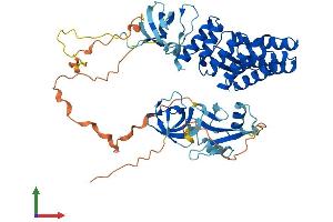 Protein Structure (PS) image for Neutrophil Cytosolic Factor 2 (NCF2) (AA 1-525) protein (His tag) (ABIN7562509)