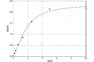 A typical standard curve (IGFBP6 ELISA 试剂盒)