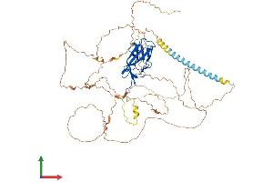 AlphaFold protein structure predicition of Mouse Recombinant Runx2 Protein, UniprotID Q08775 (RUNX2 Protein (AA 1-607) (His tag))