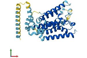 Protein Structure (PS) image for Rhomboid, Veinlet-Like 2 (RHBDL2) (AA 1-303) protein (His tag) (ABIN7551309)