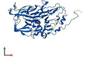 AlphaFold protein structure predicition of Mouse Recombinant Hgd Protein, UniprotID O09173