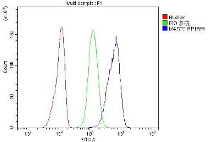 Flow Cytometry analysis of A431 cells using anti-MASP2 antibody (ABIN7602762).