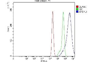 Flow Cytometry analysis of CACO-2 cells using anti-IRBIT/AHCYL1 antibody (ABIN7600030). (AHCYL1 抗体  (AA 14-57))