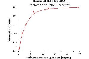 Immobilized Human CD38, Fc Tag (ABIN5674621,ABIN6253673) at 2 μg/mL (100 μL/well) can bind A, Human IgG1 with a linear range of 0.
