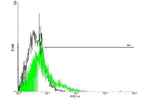 FACS analysis of negative control 293 cells (Black) and GPR77 expressing 293 cells (Green) using GPR77 purified MaxPab mouse polyclonal antibody. (GPR77 抗体  (AA 1-337))