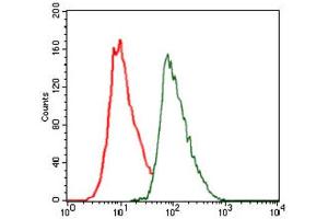 Flow Cytometry (FACS) image for anti-CCAAT/enhancer Binding Protein (C/EBP), alpha (CEBPA) antibody (ABIN1845796) (CEBPA 抗体)