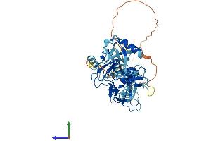 AlphaFold protein structure predicition of Human Recombinant PRKN Protein, UniprotID O60260