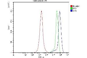 Flow Cytometry analysis of Jurkat cells using anti-TPR antibody (ABIN7603243). (TPR 抗体  (N-Term))