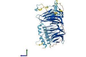 Protein Structure (PS) image for Eukaryotic Translation Initiation Factor 2A, 65kDa (EIF2A) (AA 1-581) protein (His tag) (ABIN7558709)