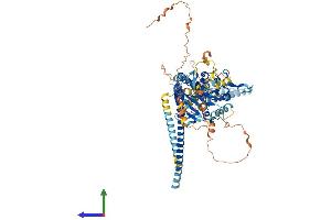Protein Structure (PS) image for Kinesin Family Member 3C (KIF3C) (AA 1-796) protein (His tag) (ABIN7562260)