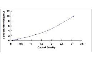 Typical standard curve (BRCA1 ELISA 试剂盒)