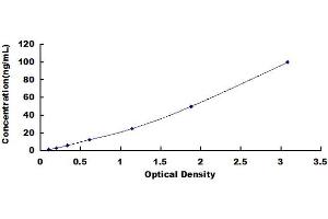 Typical standard curve (HSPA1L ELISA 试剂盒)