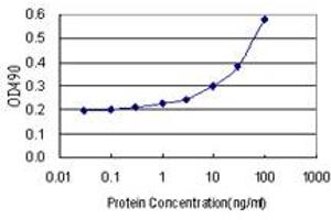 Sandwich ELISA detection sensitivity ranging from 3 ng/mL to 100 ng/mL. (SNAI1 (人) Matched Antibody Pair)