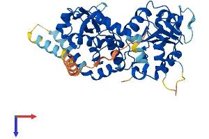 AlphaFold protein structure predicition of Human Recombinant NT5DC4 Protein, UniprotID Q86YG4