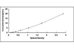 Typical standard curve (PPARG ELISA 试剂盒)