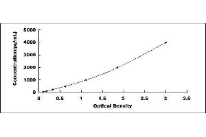 Typical standard curve (COL6A1 ELISA 试剂盒)