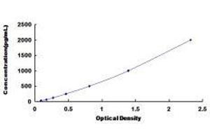 Growth Differentiation Factor 1 (GDF1) ELISA Kit