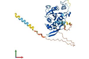 Protein Structure (PS) image for LFNG O-Fucosylpeptide 3-beta-N-Acetylglucosaminyltransferase (LFNG) (AA 1-379) protein (His tag) (ABIN7549058)