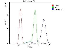 Flow Cytometry analysis of A431 cells using anti-S100A6 antibody (ABIN3043320).