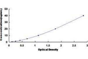 Typical standard curve (COL3A1 ELISA 试剂盒)