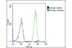 Overlay histogram showing U-2 OS cells stained with (ABIN6243670 and ABIN6578877)(green line). (Grancalcin 抗体  (AA 19-53))