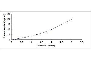Typical standard curve