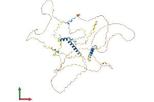 Protein Structure (PS) image for Chromosome 1 Open Reading Frame 116 (c1orf116) (AA 1-601) protein (His tag) (ABIN7545888)