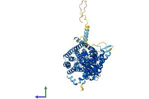 Protein Structure (PS) image for Chloride Channel Ka (CLCNKA) (AA 1-687) protein (His tag) (ABIN7556273)