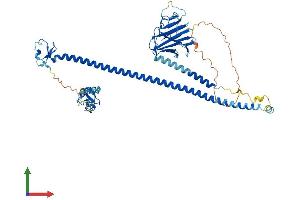 Protein Structure (PS) image for Tripartite Motif Containing 26 (TRIM26) (AA 1-545) protein (His tag) (ABIN7560465)