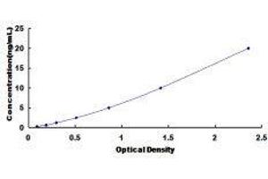 Growth Hormone Receptor (GHR) ELISA Kit