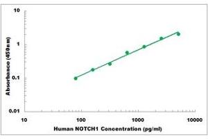 Representative Standard Curve (Notch1 ELISA 试剂盒)