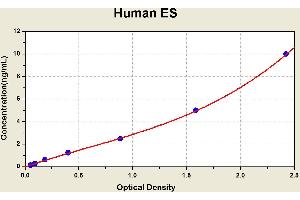 Diagramm of the ELISA kit to detect Human ESwith the optical density on the x-axis and the concentration on the y-axis. (COL18A1 ELISA 试剂盒)
